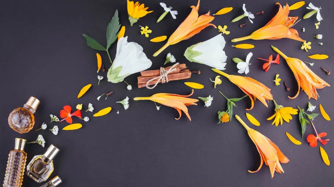 The Art of Perfume: How Scents Influence Mood, Memory, and Style - Valon